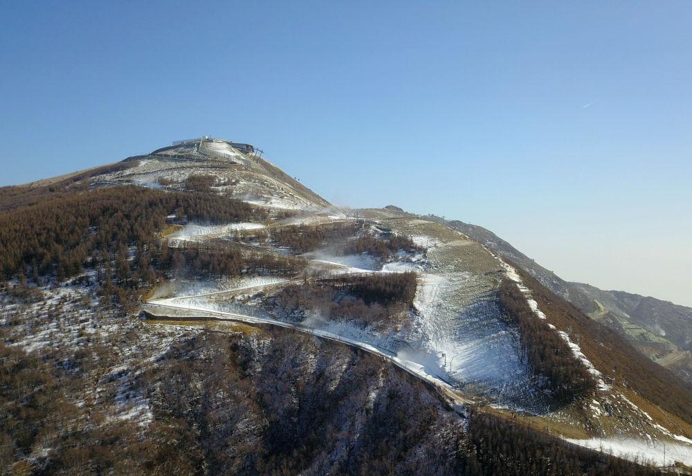 旁门左道谁能及，雪中应学山上松打一准确生肖，全面释义、构建解答解释落实