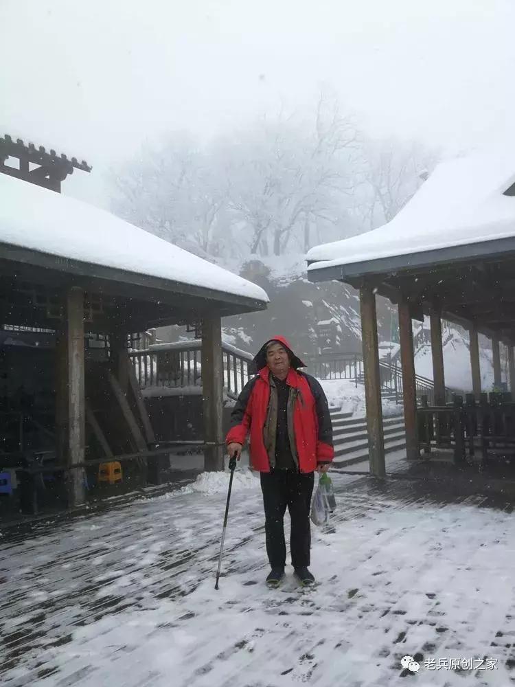 旁门左道谁能及，雪中应学山上松打一准确生肖，全面释义、构建解答解释落实