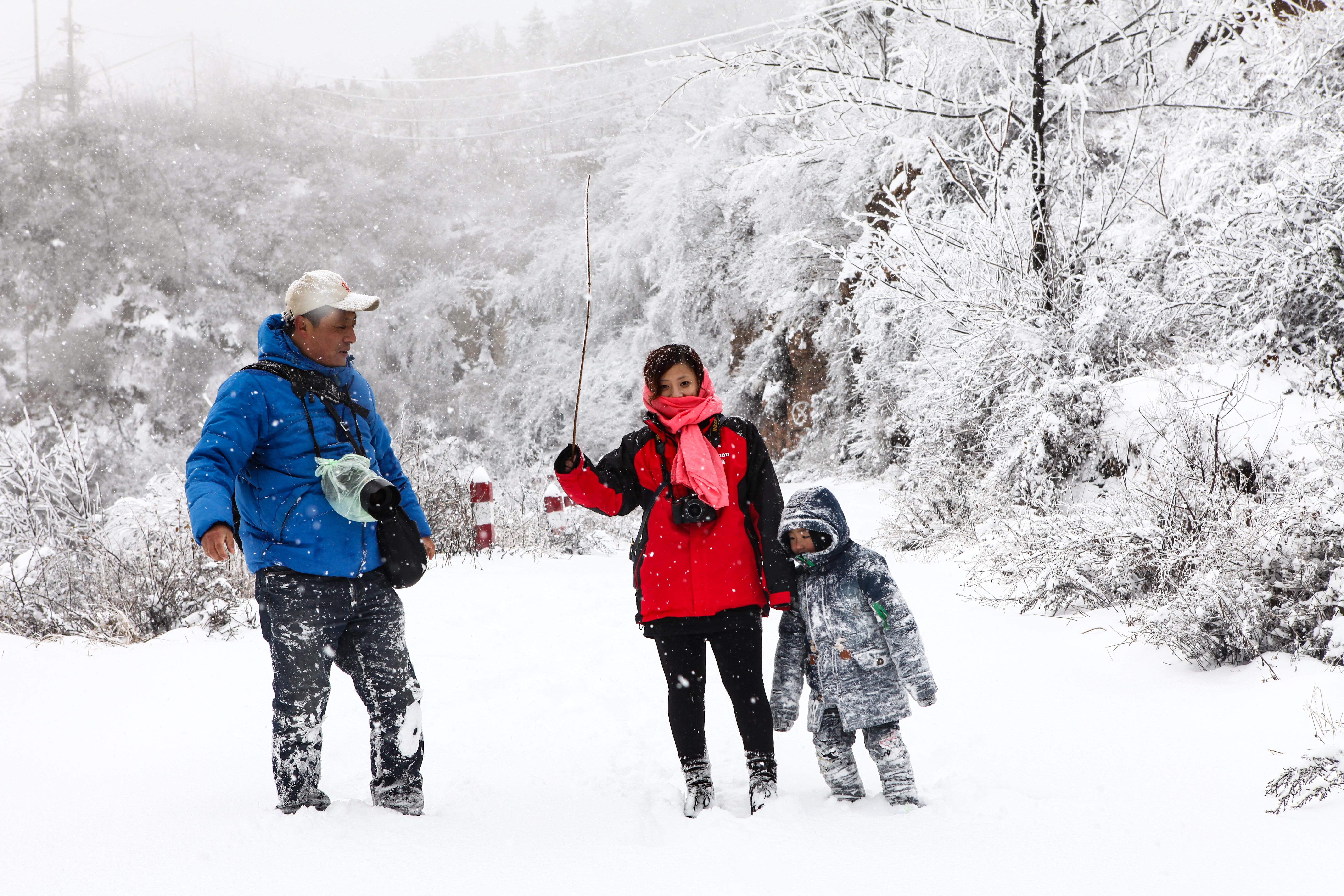 旁门左道谁能及，雪中应学山上松打一准确生肖，全面释义、构建解答解释落实