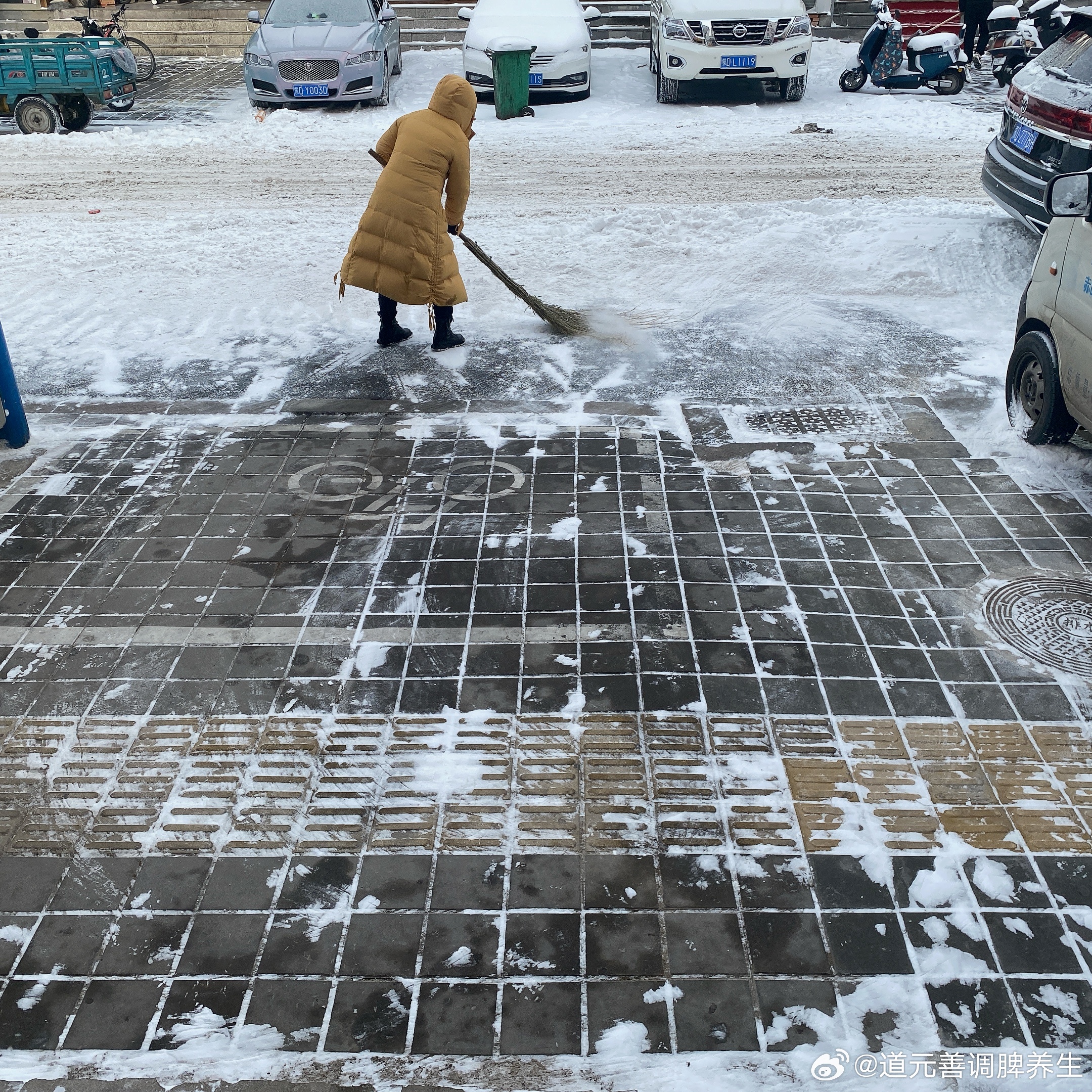 红人当红走天涯，各人自扫门前雪打一正确生肖的全面释义、解释与落实、全面解答解释落实